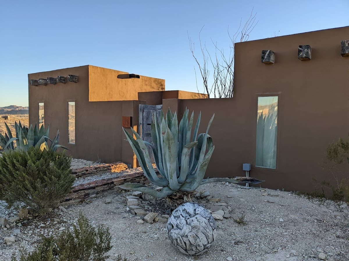 Agave Terlingua